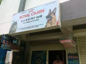 Backlit Glowsign board for a Royal Canin store