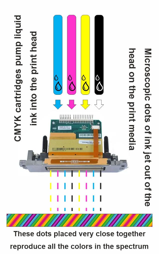 cartridges pump ink into the print head which fires microscopic color dots on the print media to reproduce image