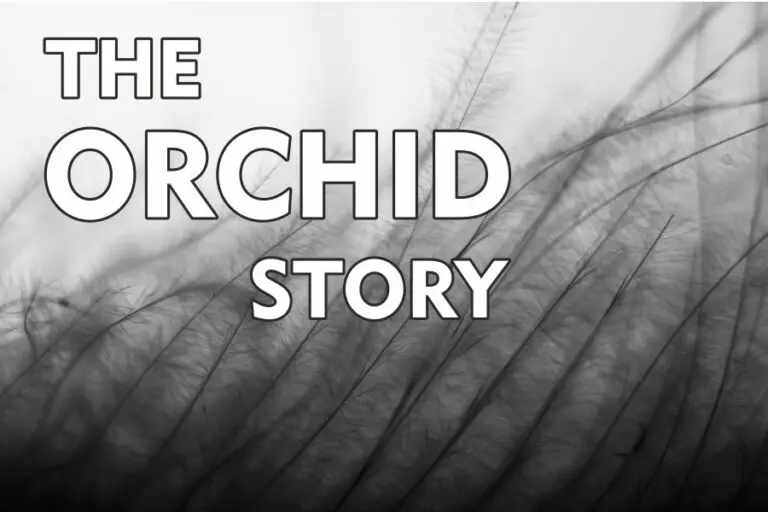 The Orchid Story