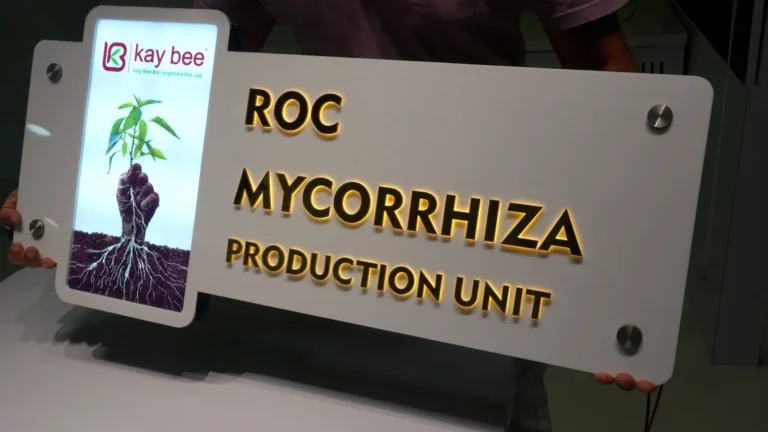 Kay Bee Bio-organics' hybrid name board lit up: a printed light-box picture with the kay bee logo on the left and raised gold letters ROC Mycorrhiza Production Unit glowing on a white acrylic plate