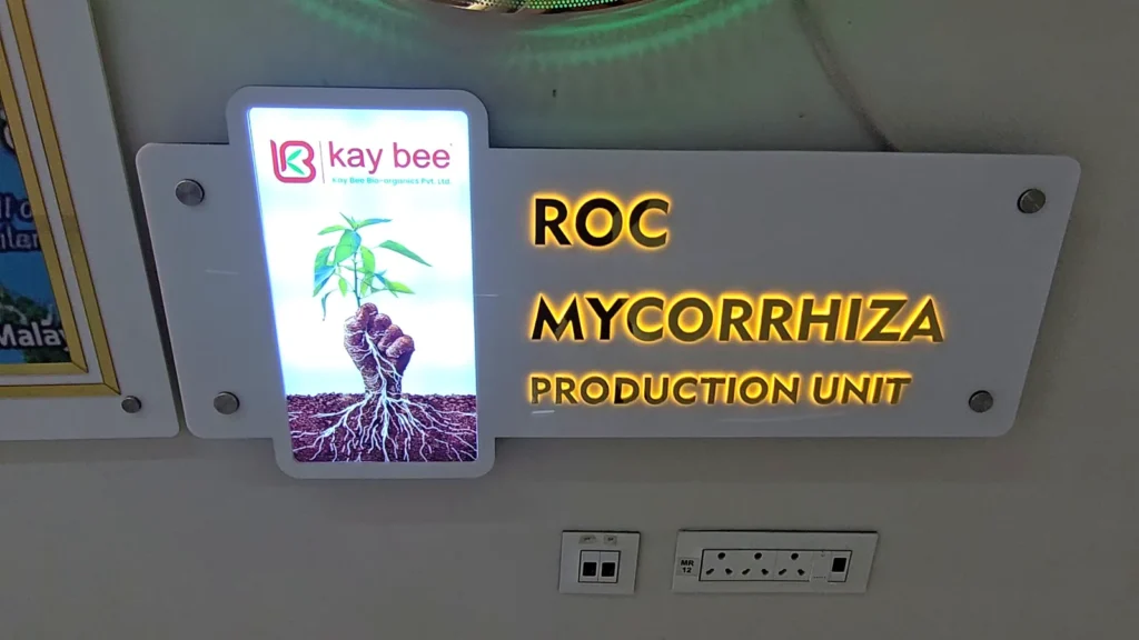 Logo board with a back-lit panel and lit raised letters on a frosted acrylic base